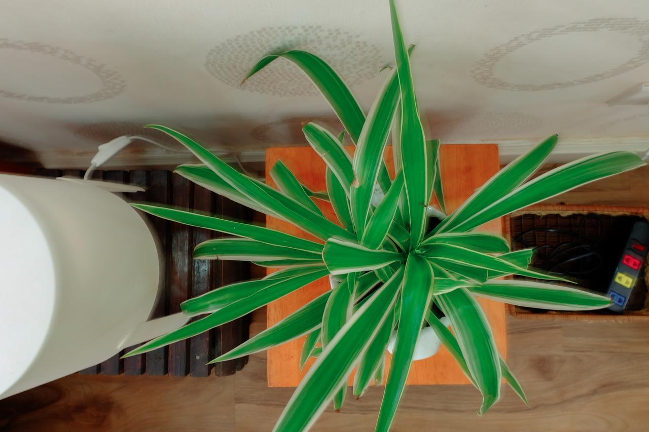 Magari Homestay Ho Chi Minh City Bagian luar foto