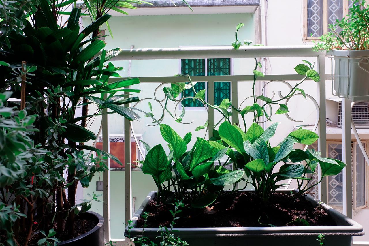 Magari Homestay Ho Chi Minh City Bagian luar foto